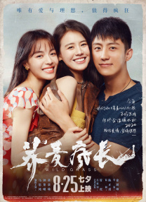 免播放器在线